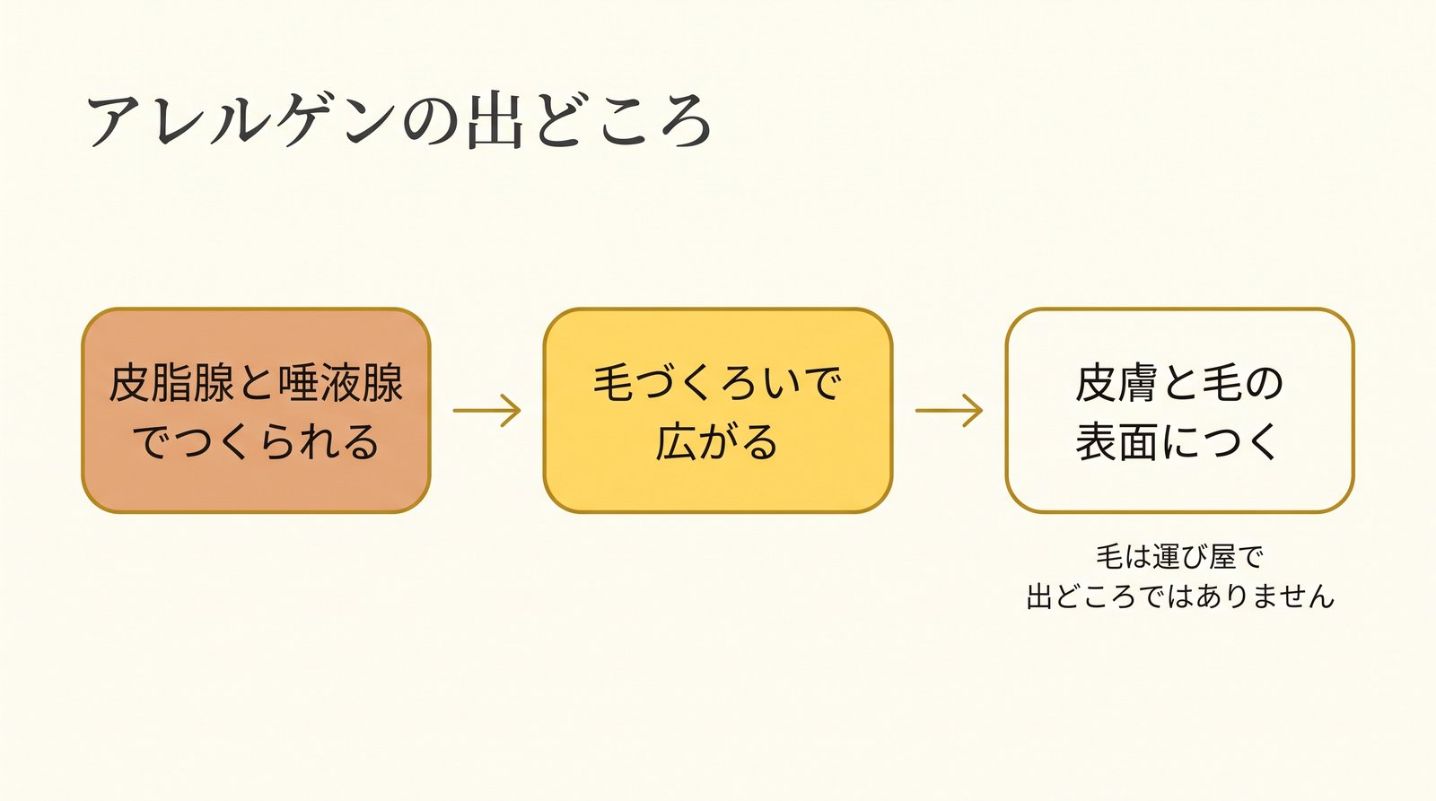 アレルゲンがどこから出てどう広がるか